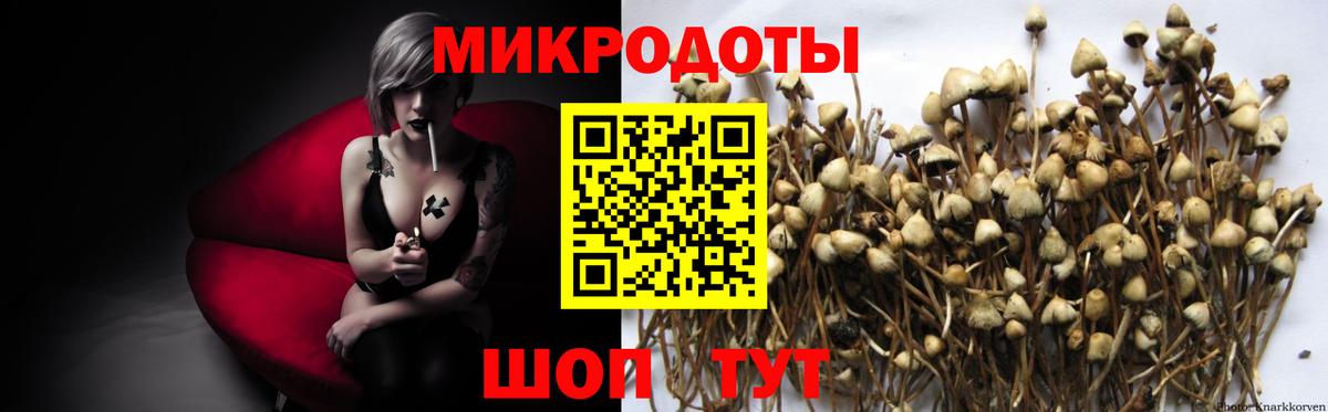 Кувандык  Псилоцибиновые грибы GOLDEN TEACHER  Вход с VPN  Псилоцибиновые грибы Cubensis 